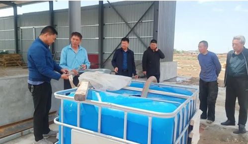 133團(tuán)團(tuán)領(lǐng)導(dǎo)檢查轄區(qū)木材廠消防安全工作